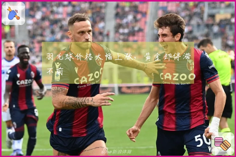 羽毛球价格大幅上涨，黄金却停滞不前