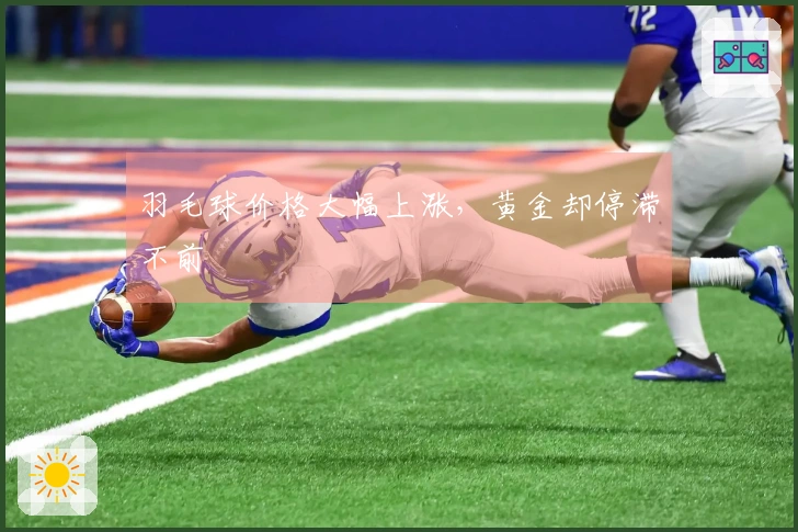 羽毛球价格大幅上涨，黄金却停滞不前